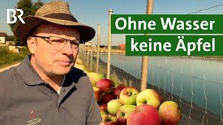 Gegen Hitze und Frost: Wasser sammeln und Obstbäume bewässern | Unser Land | BR