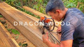 FULL SKILL‼️ PENGOLAHAN KAYU DRAGON MENGGUNAKAN MESIN STIHL 070 || MENGASAH MATA RANTAI CHAINSAW