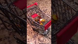 MARBLE RUN ASMR | LOADING MARBLES IN MY SHOPPING CARTS #asmr