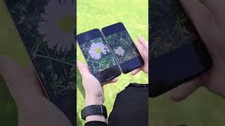 iPhone 13 Pro Max vs iPhone Xs Max #shorts #cameratest #challenge