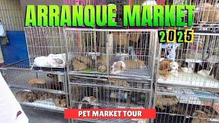 [4K] ARRANQUE PET MARKET TOUR & STREET FOOD AT RECTO EVANGELISTA MANILA