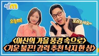 아산의 가을 풍경 속으로 & 기운 불끈! 강력 추천 낙지 한 상 / 오늘M / 2024년 11월 13일