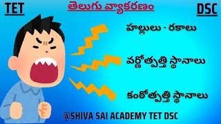 TS/AP TET DSC|TELUGU GRAMMAR|హల్లులు-రకాలు, వర్ణోత్పత్తి స్థానాలు& కంఠోత్పత్తి స్థానాలు|#dsc#tet#tgt