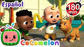 Día de juego con mascotas| Canciones Infantiles | Caricaturas para bebés | CoComelon en Español