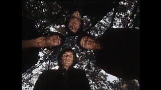 The Troggs - Night Of The Long Grass ( Original Promo 1967 Colorized & Stereo Remastered )