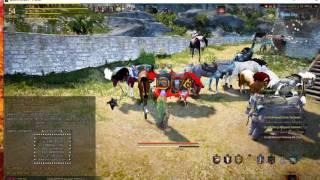 Tarkis ZOne: Steel, All You Need to Know - Black Desert Online