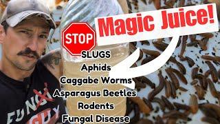 STOP Slugs FAST | Homemade Organic Pest, Rodent, Foliar Fertilizer, Fungal Spray