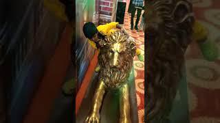 Alisa New video#shorts#youtubeshorts #vairal #subscribe#alisa#cute #baby#love#song#funny#girl