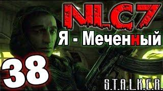 S.T.A.L.K.E.R. NLC 7: "Я - Меченный" #38. Тайник Стрелка и Шрама в Рыжем лесу