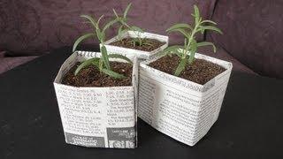 DIY: Newspaper Pots for Seed Starting/Cuttings