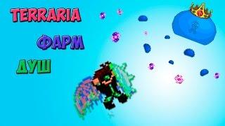 Terraria [Как быстро нафармить много душ]