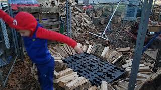 starting another holtzhausen with ash