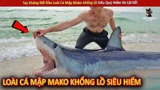 Tay Không Đối Đầu Loài Cá Mập Mako Khổng Lồ Siêu Quý Hiếm Và Cái Kết || Review Giải Trí Đời Sống