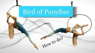 Bird of Paradise on Aerial Hoop - Aerial Lyra tutorial