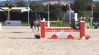 Arrogant un Prince (by Arko) Vilamoura 5 Year old Class