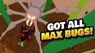 New Max Bug & Boss in Little World Roblox