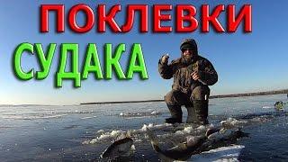 Зимняя рыбалка.ПОКЛЕВКИ СУДАКА.Подледный " ВЕРТИКАЛЬНЫЙ ДЖИГ ".