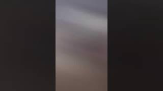 JEDAG JEDUG CEWE CANTIK TOKYOLAGII VIRAL TIKTOK