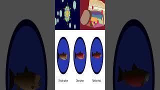 PRV infections | Infectious Diseases Conferences |