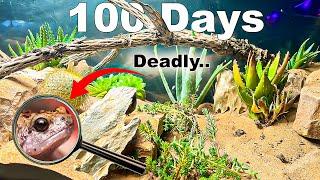 150 Gallon Desert ecosystem Simulation ( With Natural Disasters )