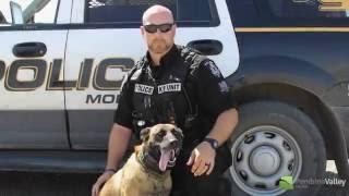 Constable Edwards And Police Dog Chase