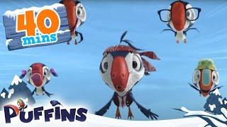 Puffins | 40 min | Johnny Puff's Big Day! | Cartoon For Kids | Puffins World