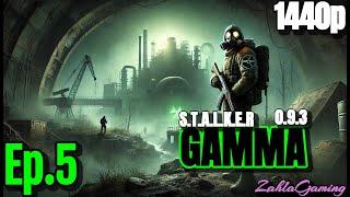 New SSS 22 Update  S.T.A.L.K.E.R. GAMMA 0.9.3 ️‍️ | Ep. 5  1440p Ultra Immersion