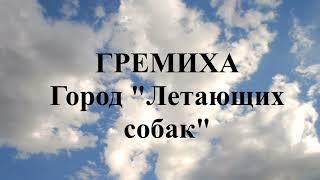 #Гремиха#ГородЛетающихСобак#New