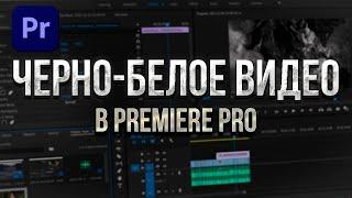 Как сделать видео Черно Белым в Premiere Pro