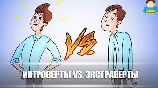 Интроверты против экстравертов | Plushkin