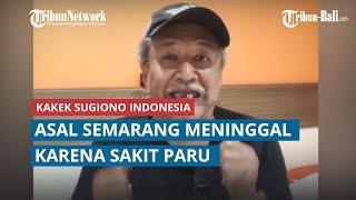 Kakek Sugiono Indonesia asal Semarang Meninggal karena Sakit Paru