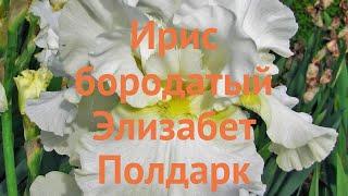 Ирис бородатый Элизабет Полдарк  Элизабет Полдарк обзор: как сажать, саженцы ириса Элизабет Полдарк