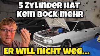 Der Fluch des Audi 90! Neues Projekt will plötzlich nicht mehr laufen (Abholung)