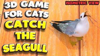 3D game for cats | Catch the SEAGULL (isometric view) | 4K, 60 fps, stereo sound