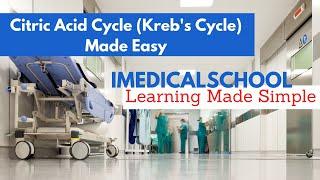 Citric Acid Cycle (Kreb's Cycle) Made Easy