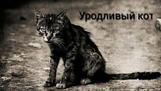 Уродливый кот. Стих