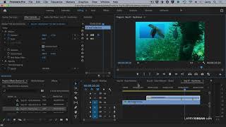 How to Animate Video Clips Using Keyframes in Adobe Premiere Pro