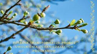 Totalna transformacja-proces uwolnienia ograniczających programów