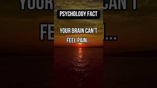 Your brain can’t feel pain… #facts #psychology #knowledge #trivia #learning #wisdom #funfacts