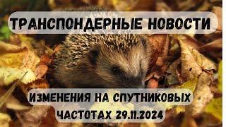 Транспондерные новости. Изменения на спутниковых частотах 29.11.2024