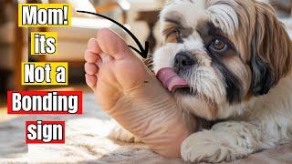 If Dogs LICK Your Feet, Here's What They're Secretly Telling You