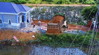 Starting A New Project Filling Pond!! Strong Bulldozer Komatsu Pushing Soil into water & 5ton Truck.