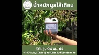 02 Clip พ่นทางใบ บำรุงผลลำไยขนาดเท่าหัวไม้ขีดไฟ