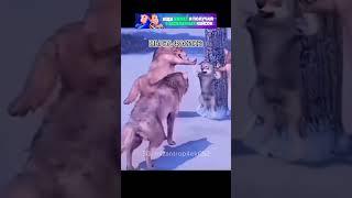 Вообще по другому играют люди #cs2 #cs2funny #cs2clips #cs2memes #кс2 #кс2мемы #кс2приколы #knifex