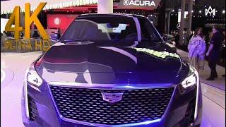 Top Luxury cars! Power 300 HP 2022/2023