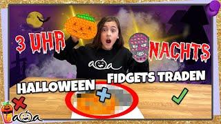 3 UHR NACHTS Halloween FIDGETS TRADEN! Was passiert?  Alles Ava