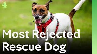 Shelter’s Most Rejected Rescue Dog Almost Loses Hope Until New Family Finds Him | The Dog House 