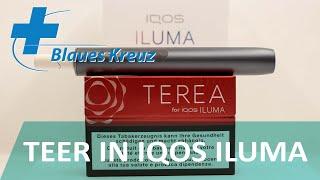 IQOS ILUMA –Teer im Rauch