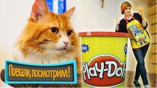 КОТИКИ, Маша Капуки и Плей До - Кошачье кафе Поехали Посмотрим! Развивающее видео для детей