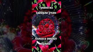 Хайрли тун дилга яқиним.Ҳамма нарса ўткинчи. Уларга аҳамият ва қиймат берадиган ўзимиз.